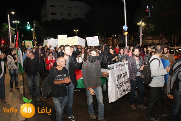 brafer td oi1130 (7).JPG